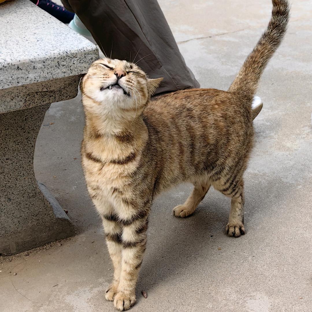 PM