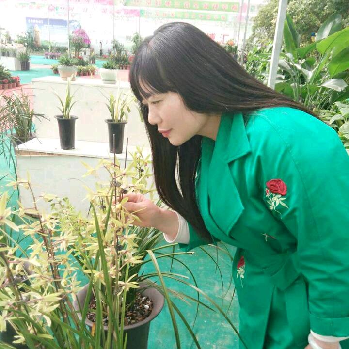 随州红娘佳梦
