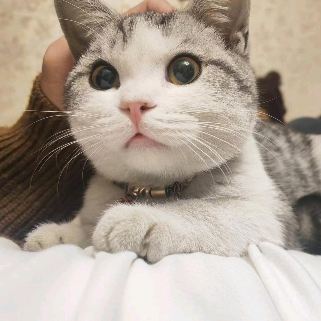 清晨.