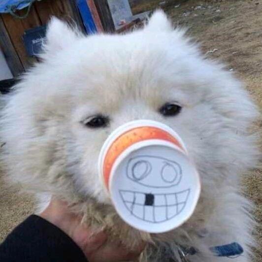 小藏獒刘老师
