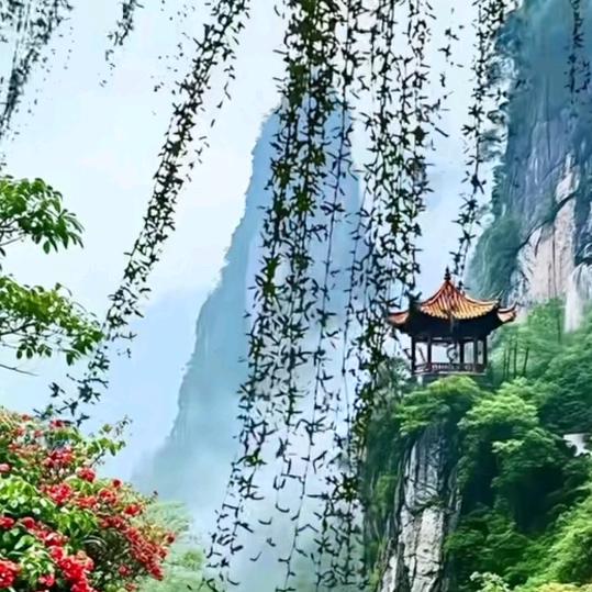 磊磊优选