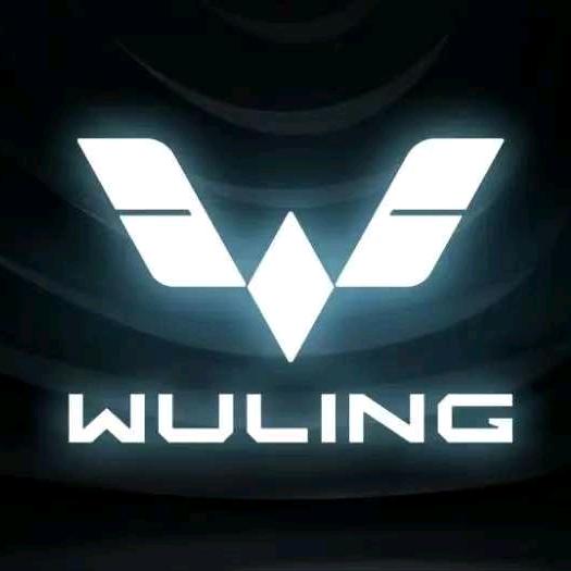 五菱宏光mini宝妈