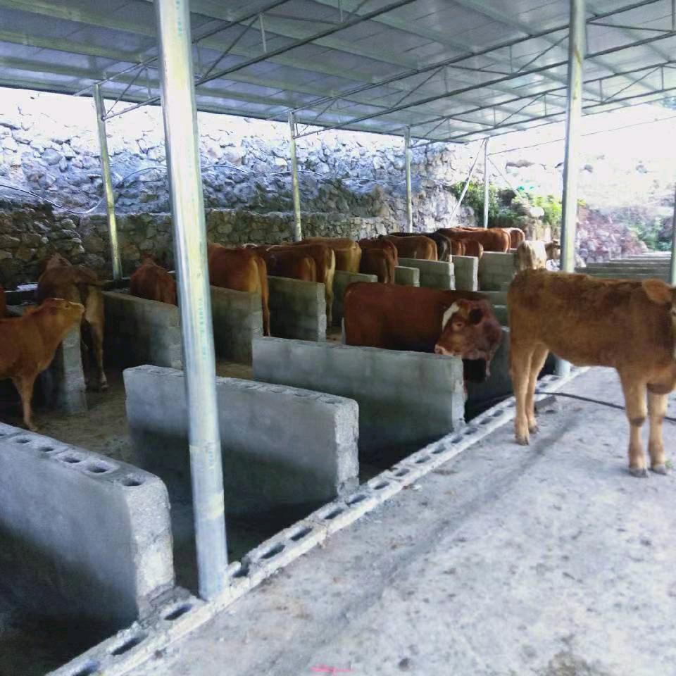 我会永远爱你