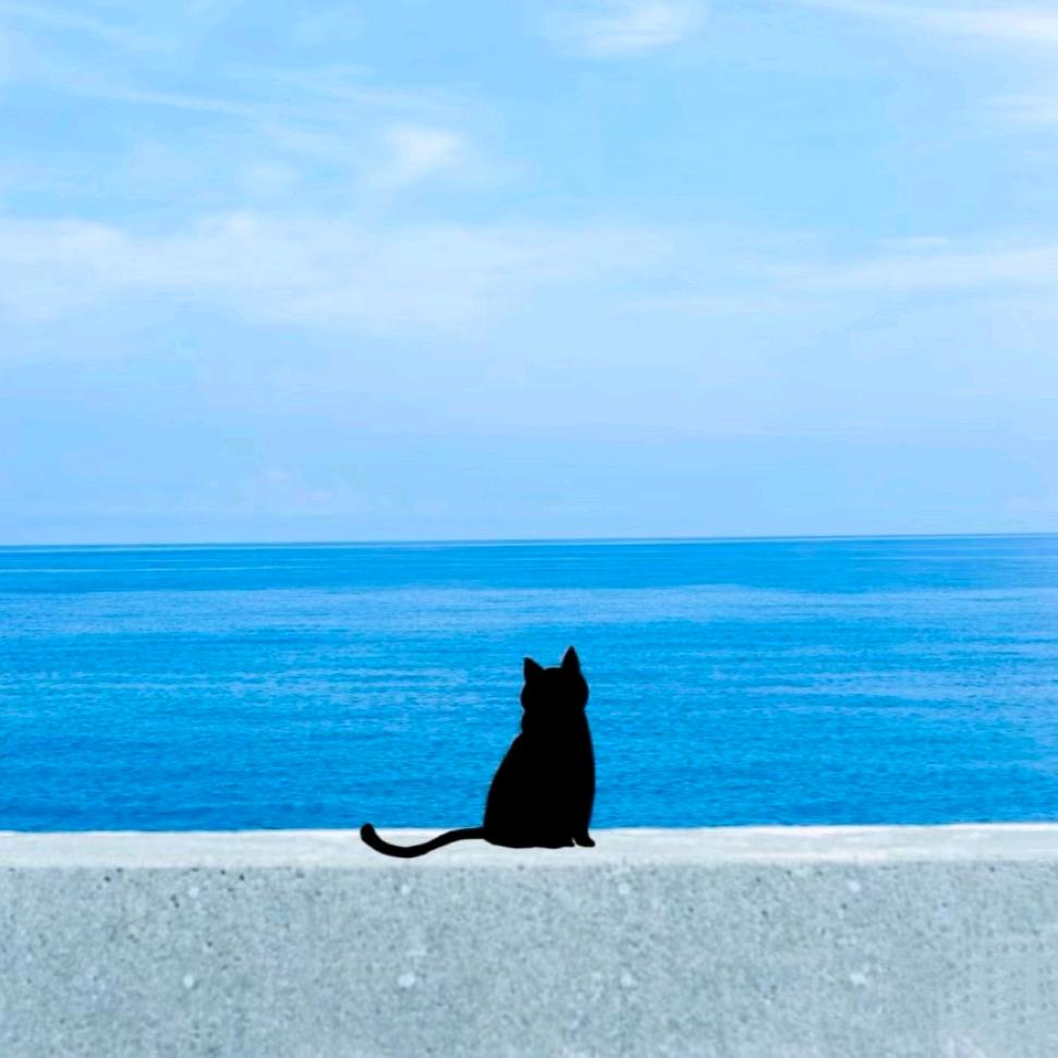 一生骄傲