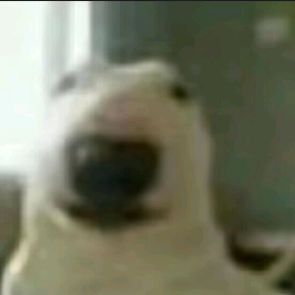 伊卡纳桑.