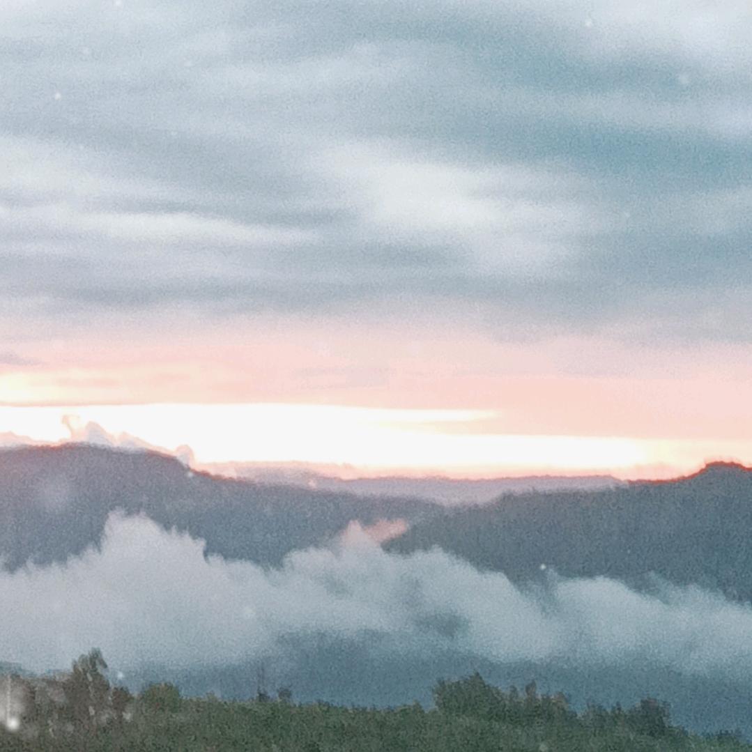 沉默