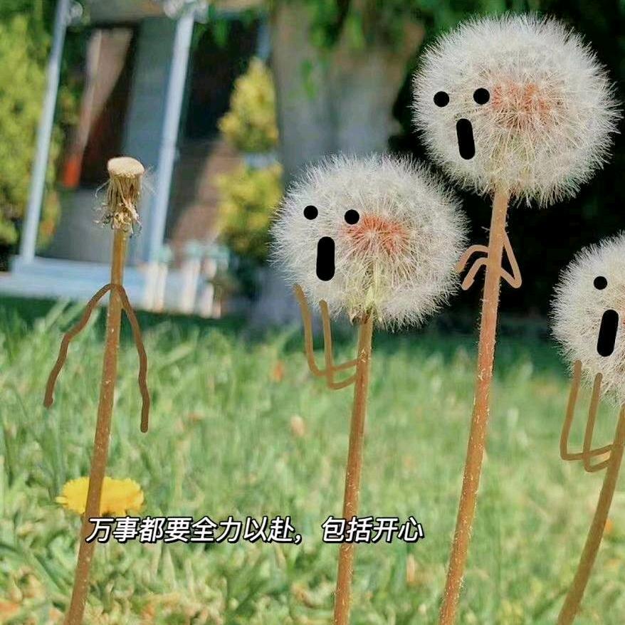一切随风