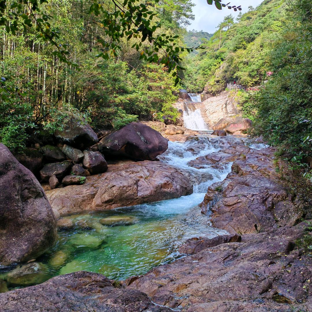 生存才是王道！！！