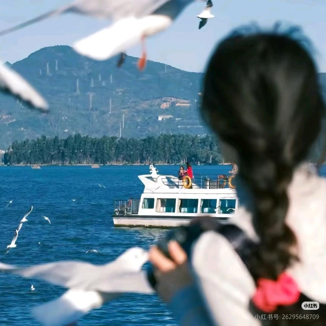 💫  ☘︎ ˖꙳ 云初