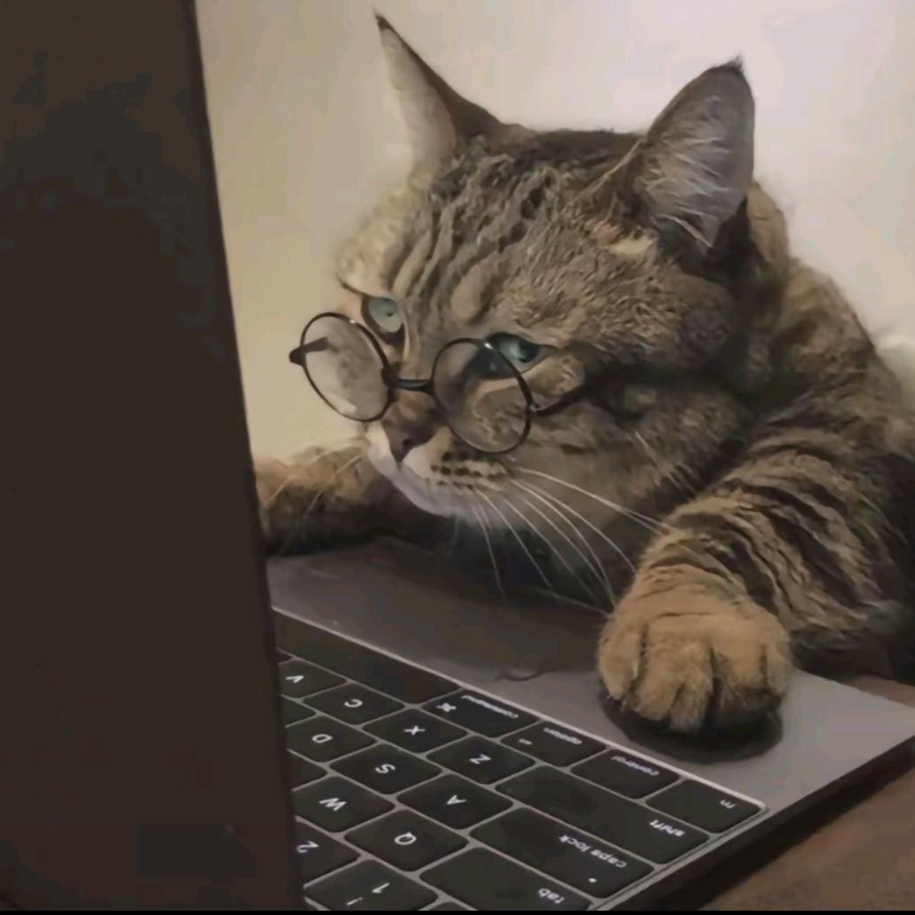 爱吃竹子的云溪