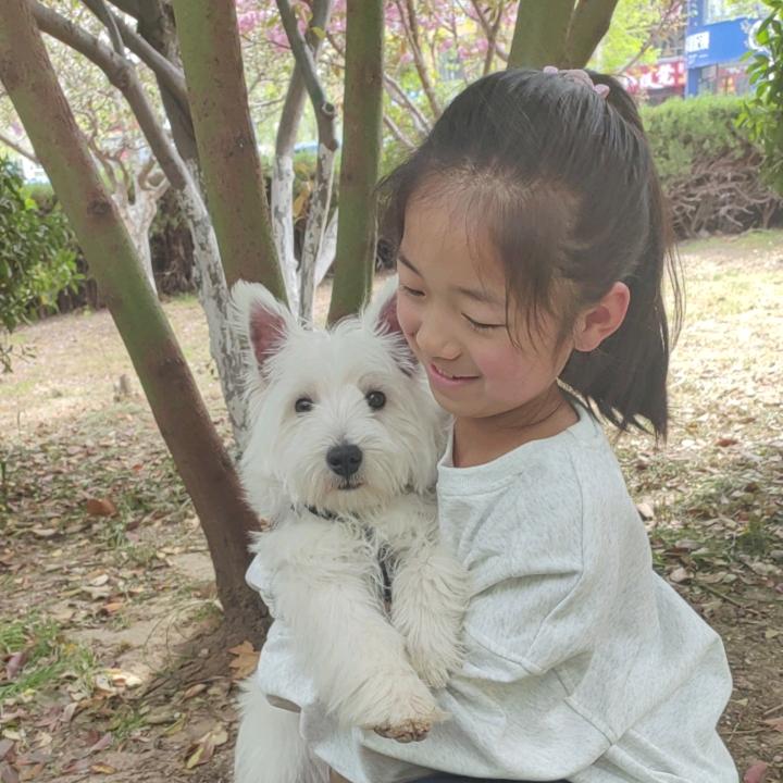 @西高地（买🐶私聊）