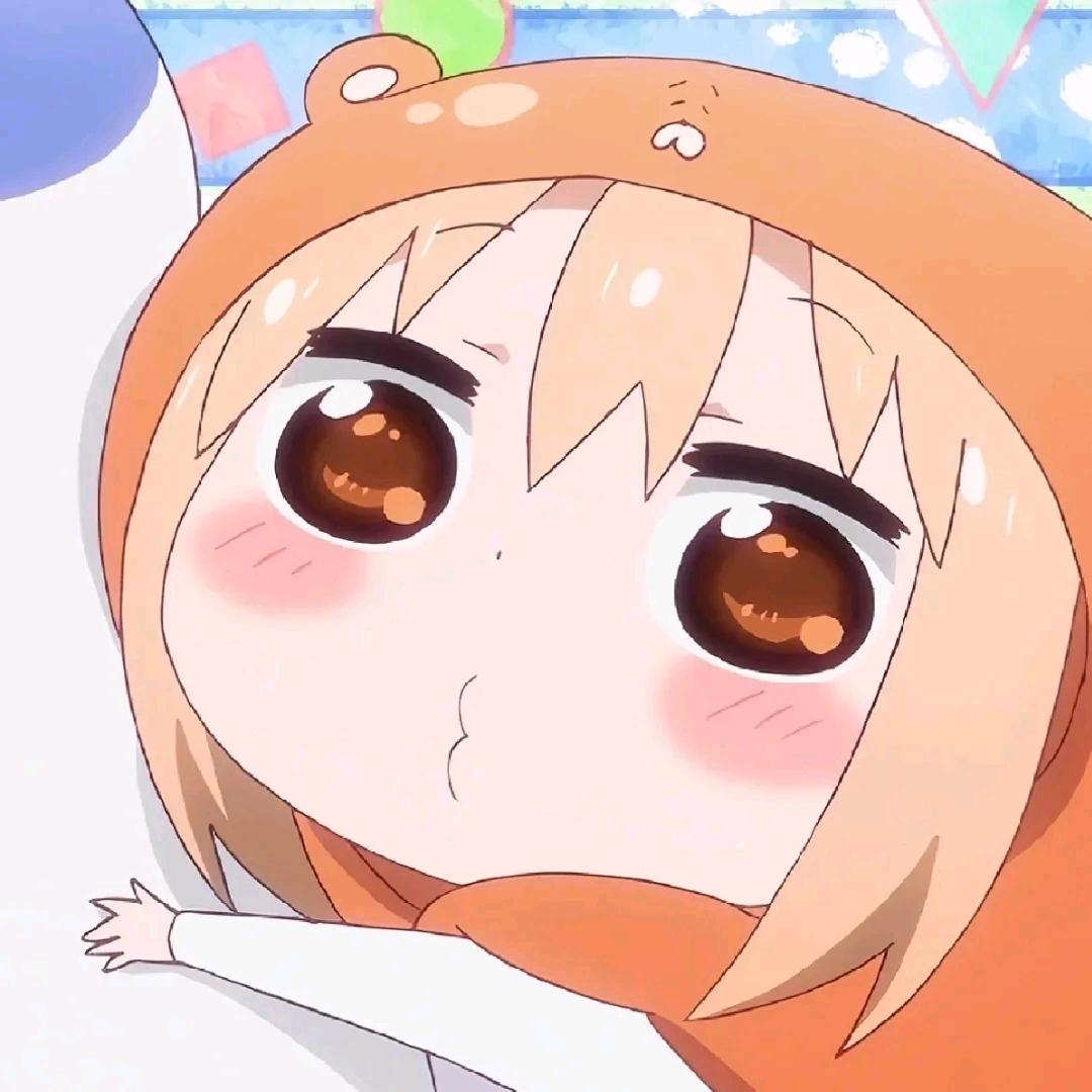 南南菲