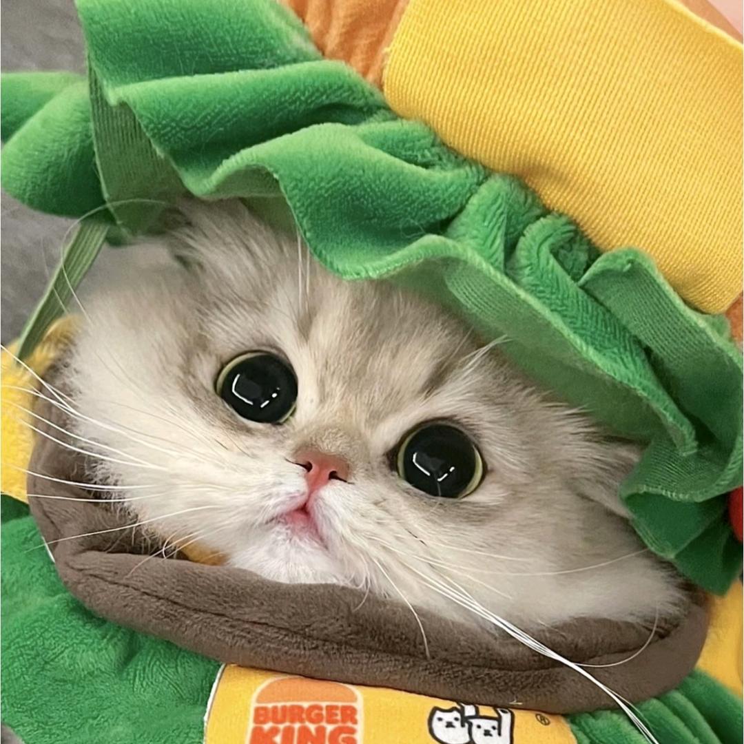小小z趣味小铺