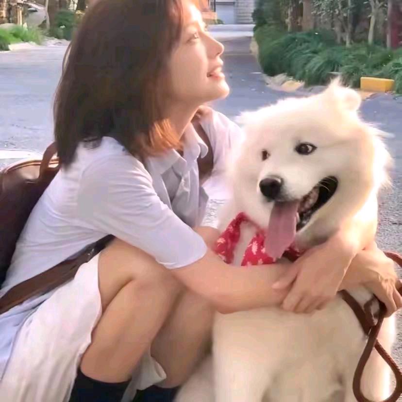 🌈糊涂涂糊🌈