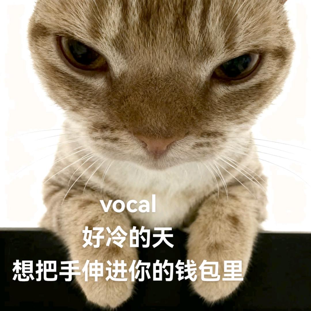 漪漪