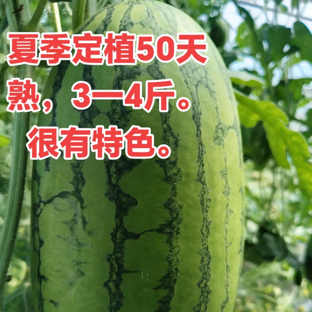 心多宽、命多好