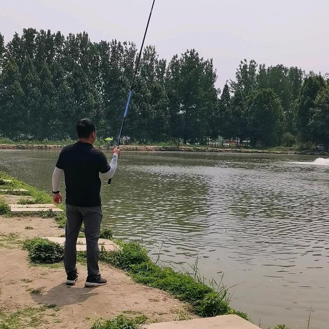 弓长的张🎣