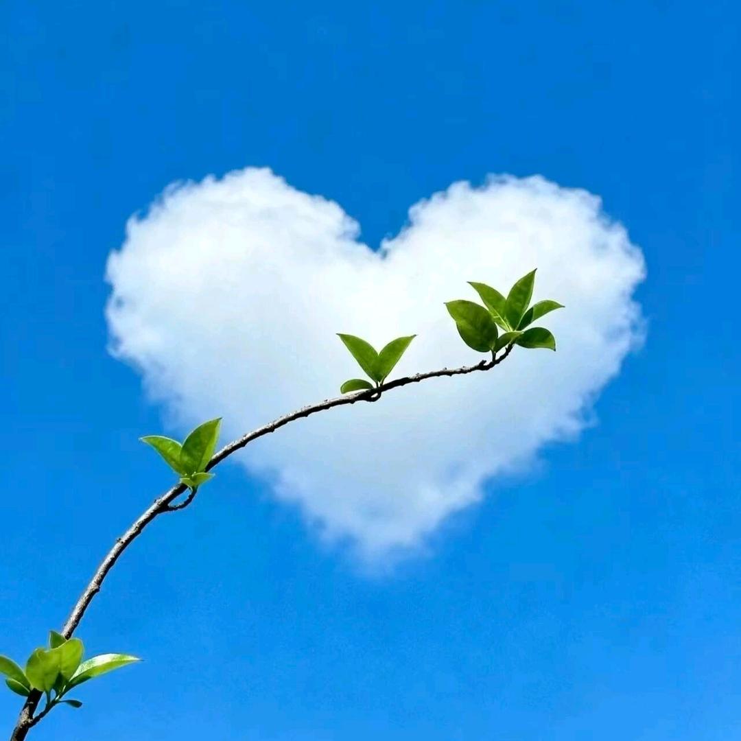 ღ᭄ 糖এۣۖิ狠甜დ᭄