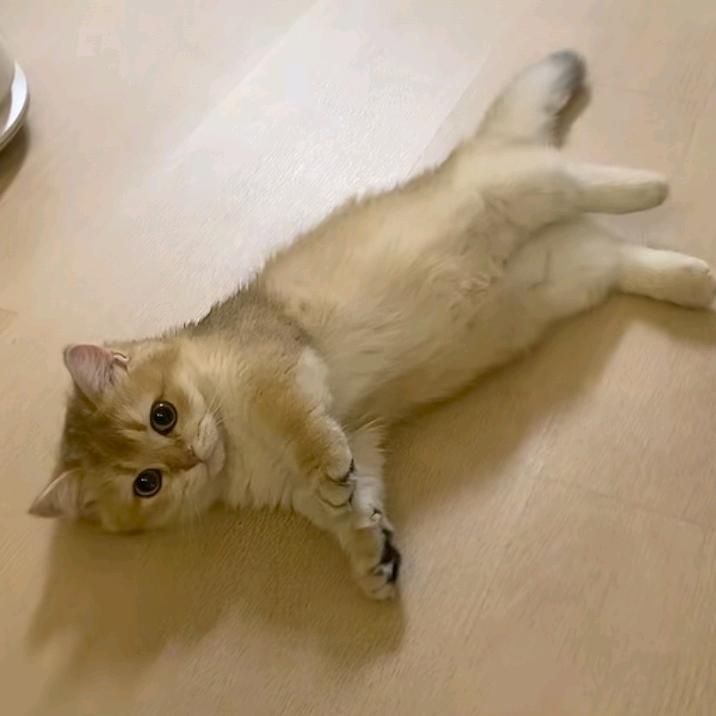 解酒糖