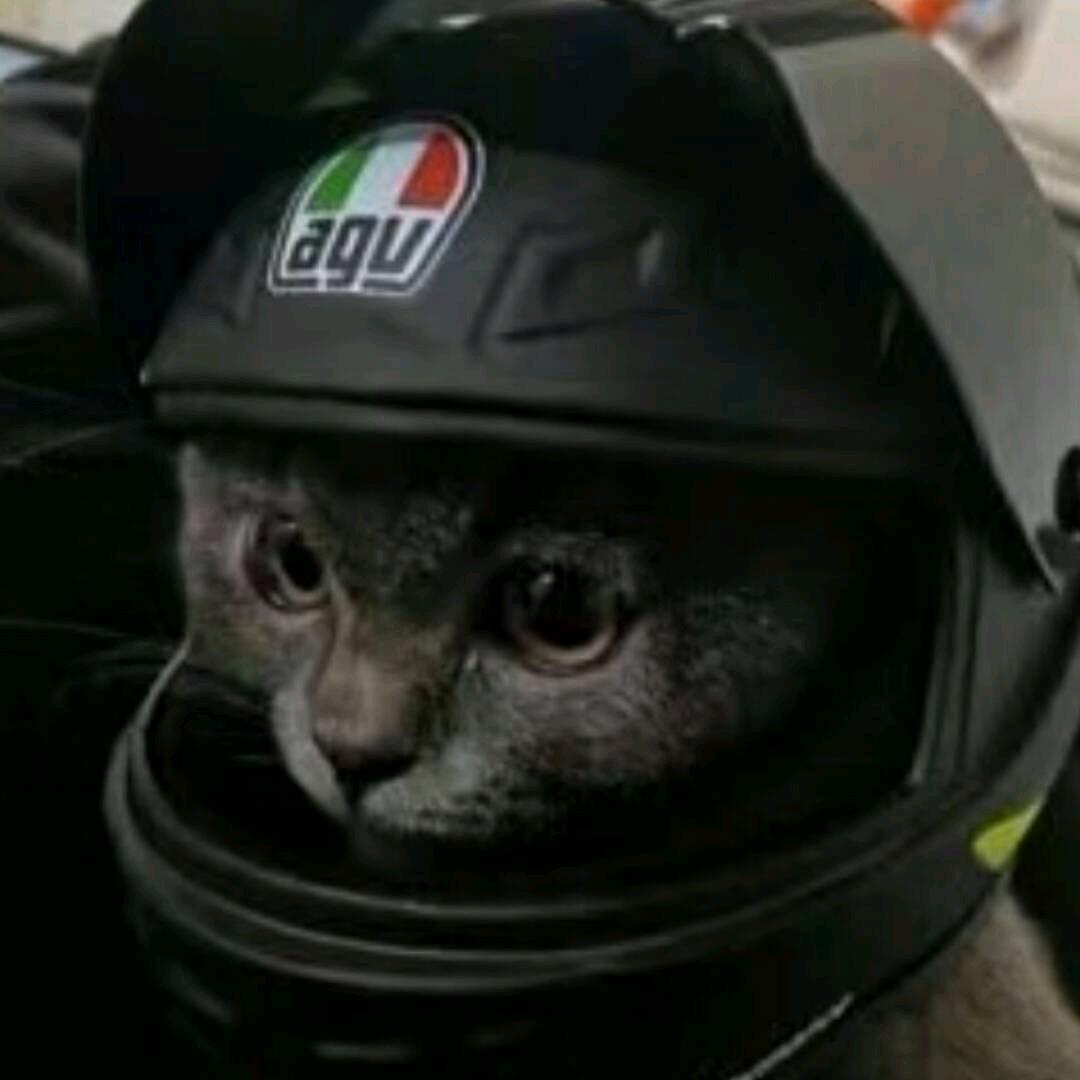 神农架资深玩家小杨