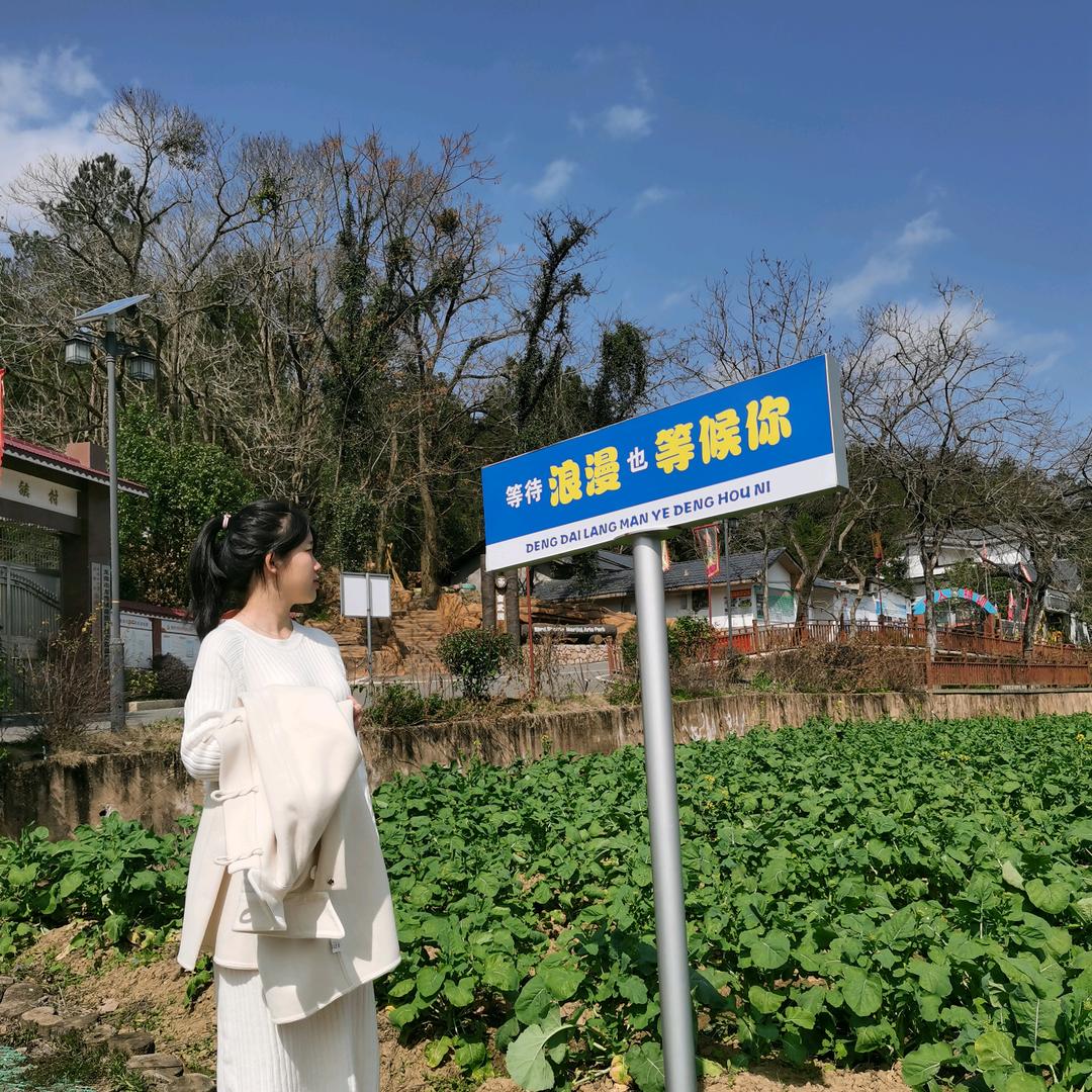 灵儿