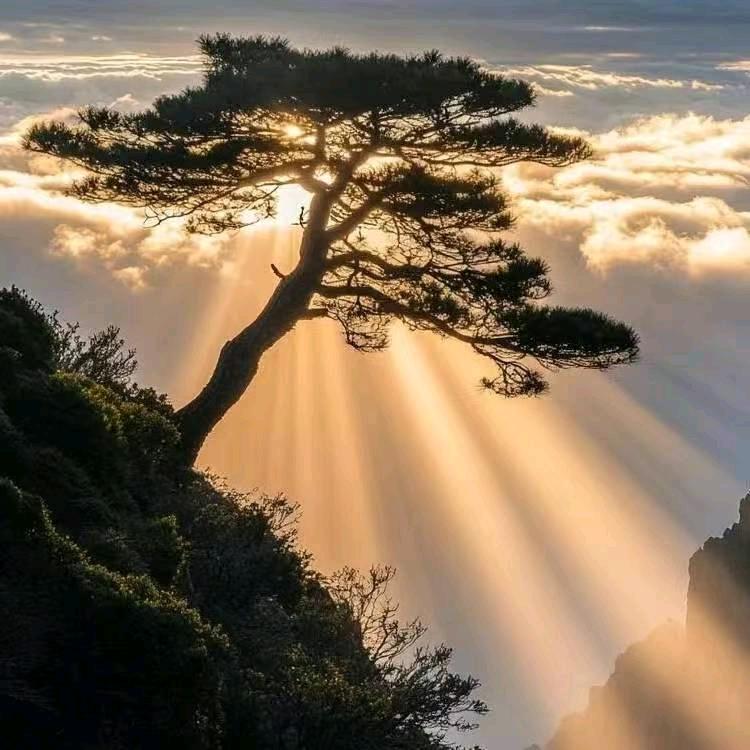 海鸟跟鱼相爱只是一场意外