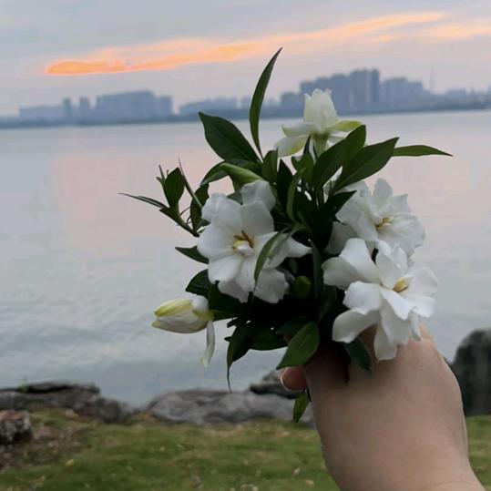 🌈💖摆摊卖《回忆》🍎🌈💨