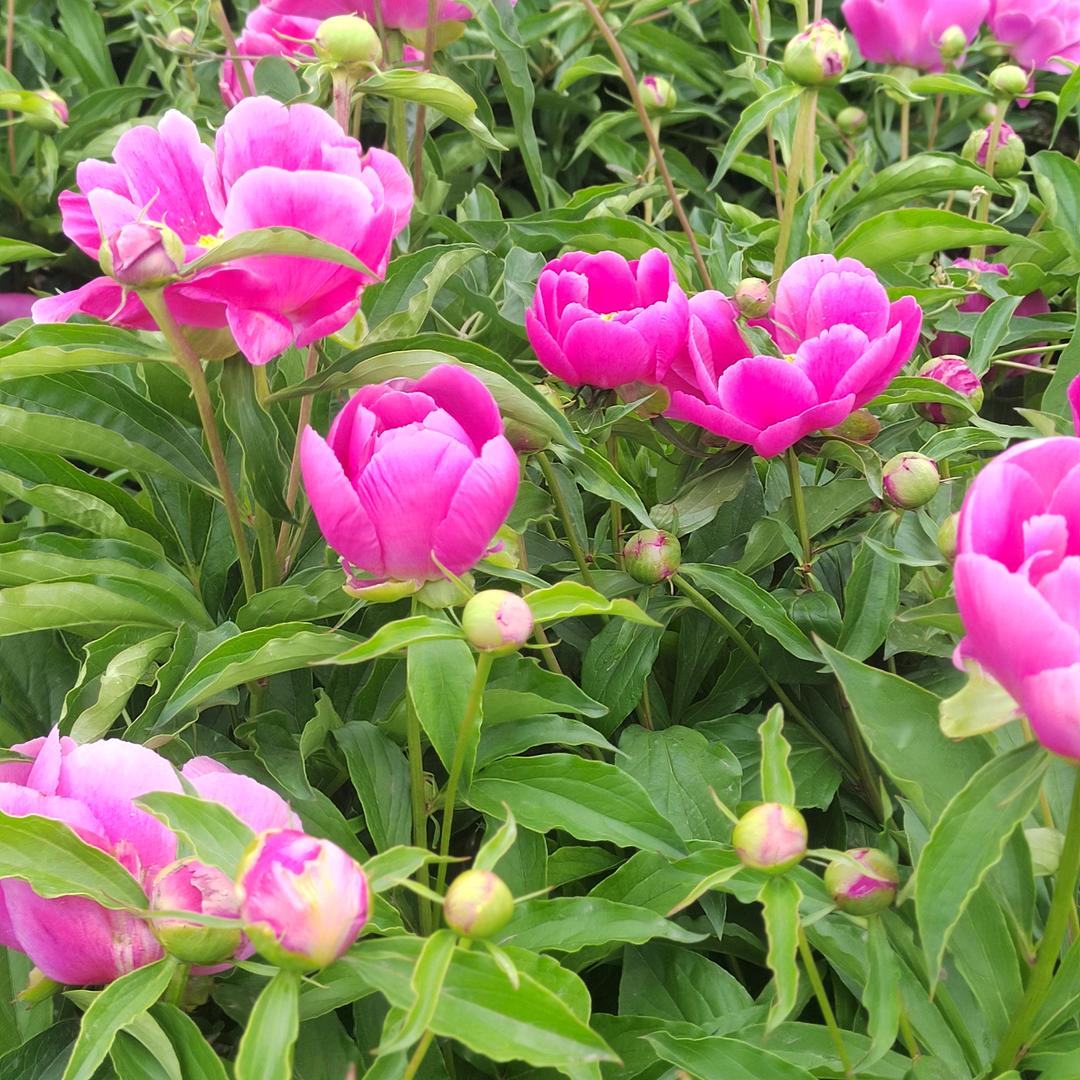 💘💘如梦初醒💘💘