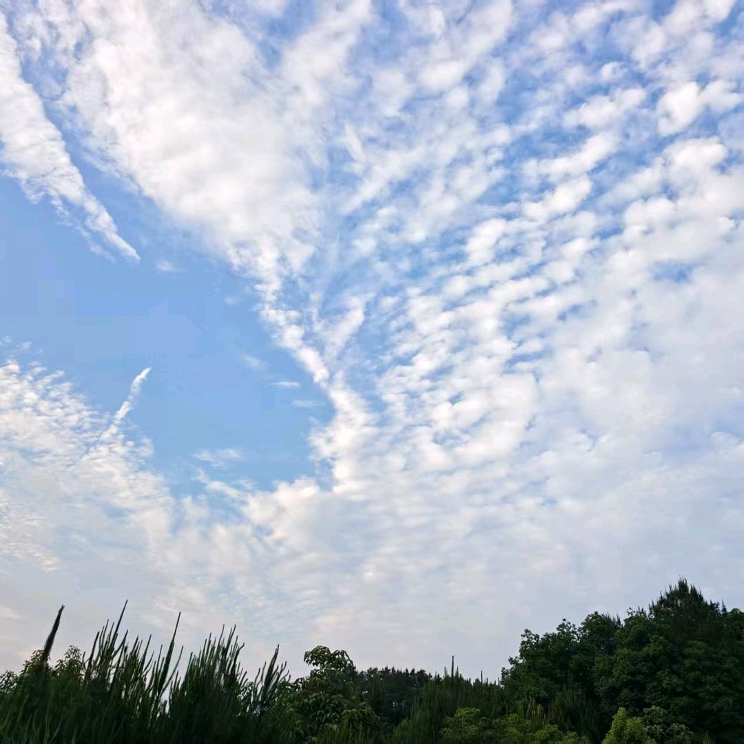 钢筋大直男
