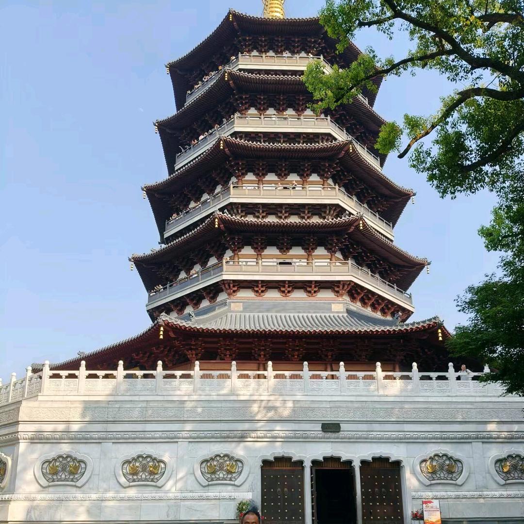 A毛毛虫