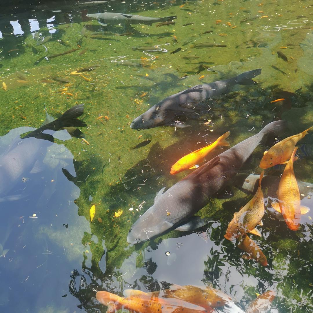 宝贝