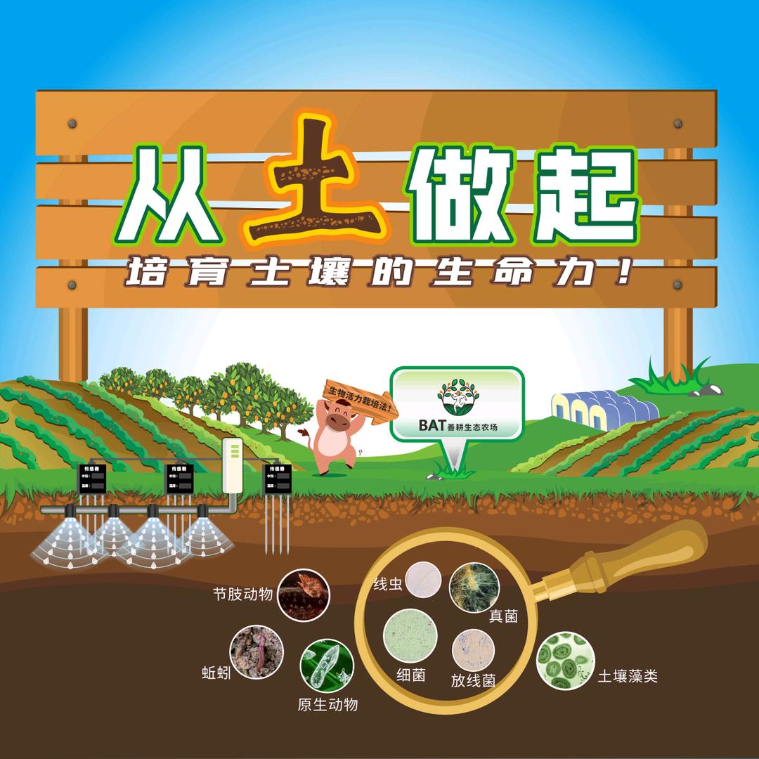 土贝康