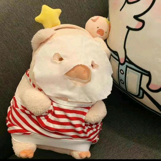 芝吾