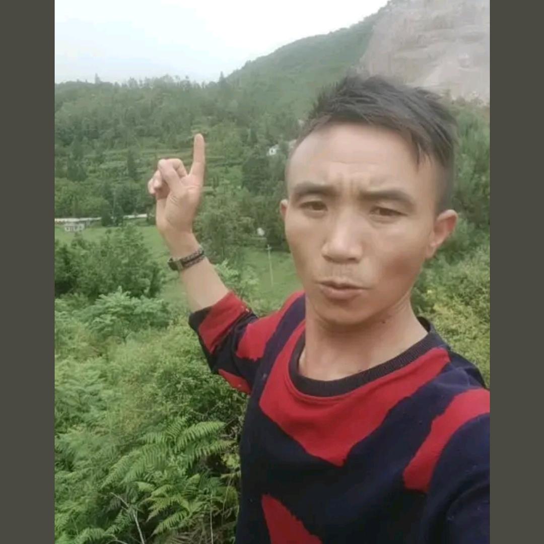 张伦镜@接不后退