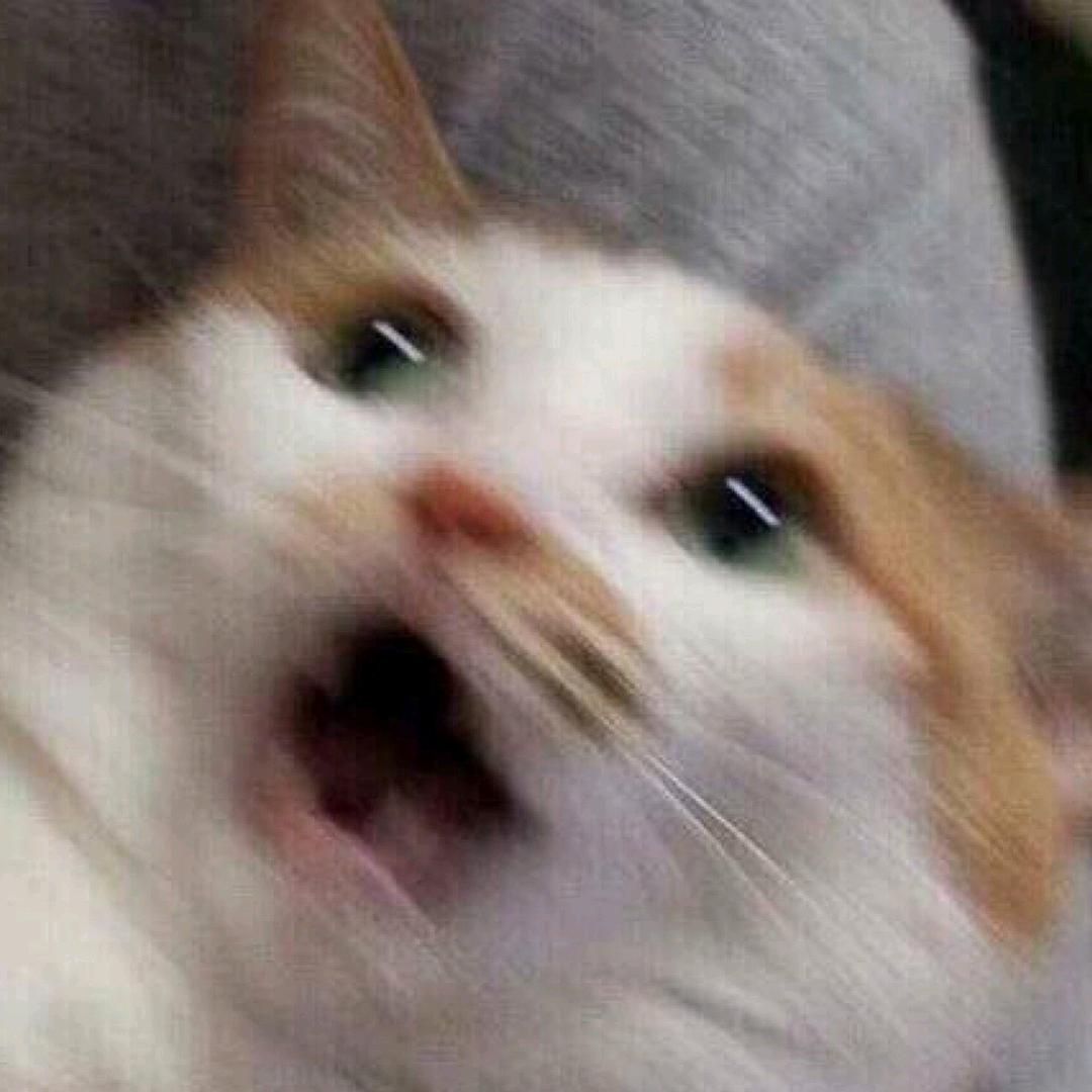 晚饭吃什么