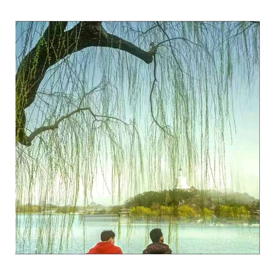 氢为减碳号