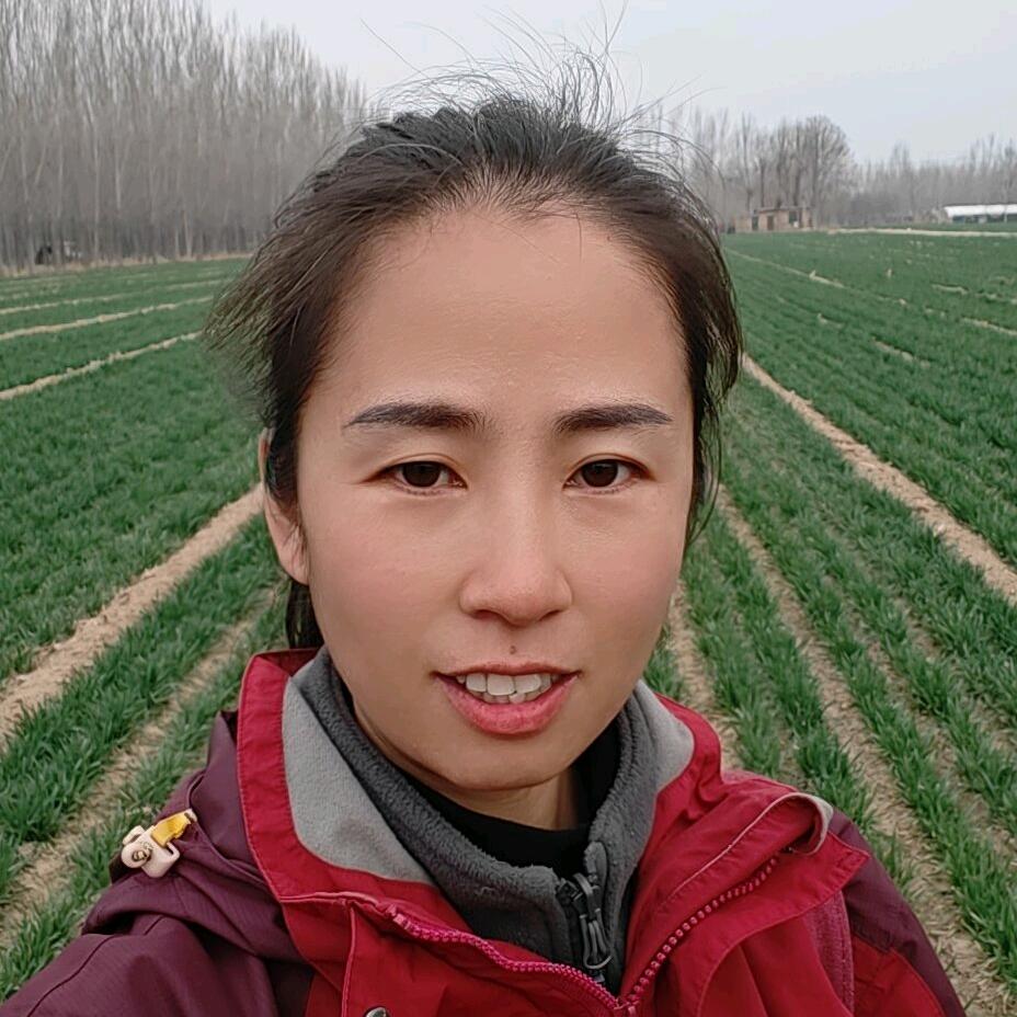 小杜助农