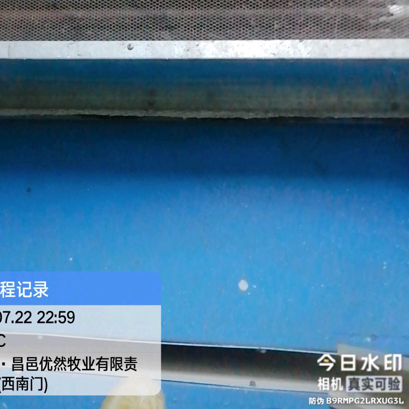 一切随缘