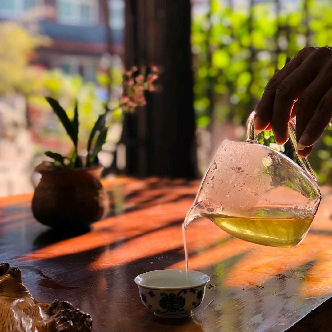 云南小阿布的茶