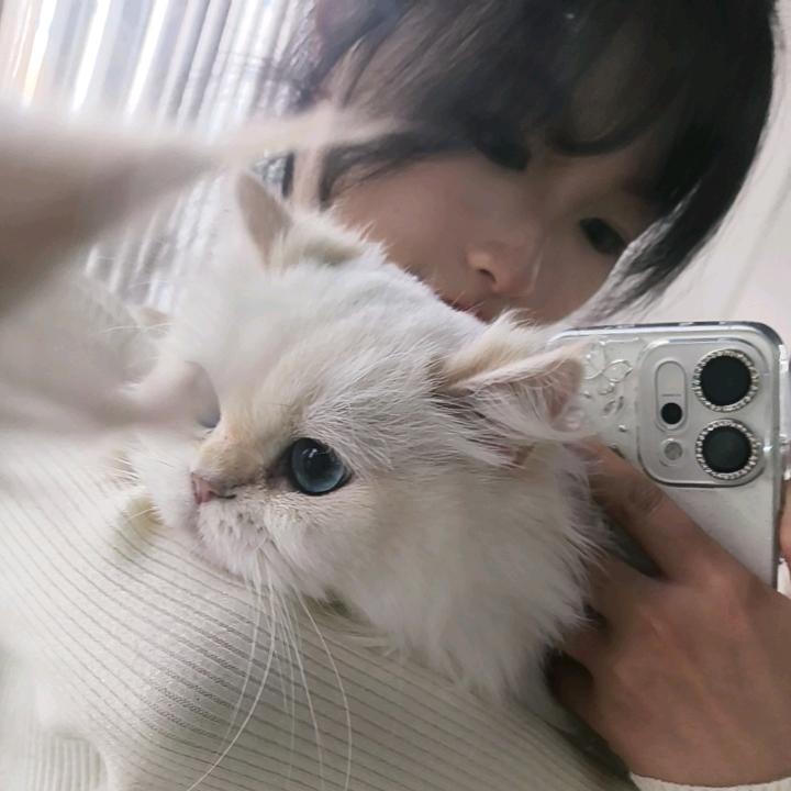 有机会一起看海