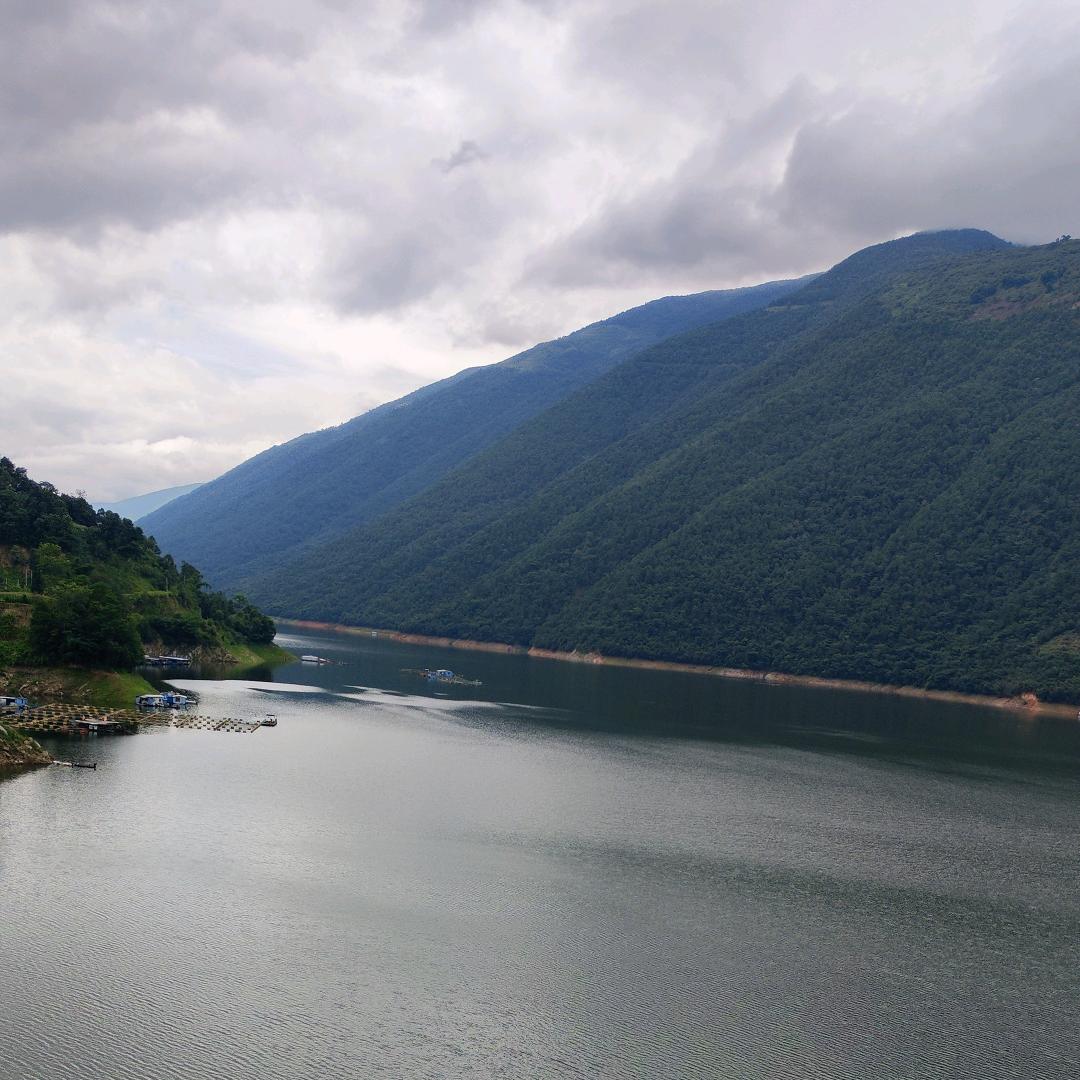 🍃柠檬🍋心酸🍃