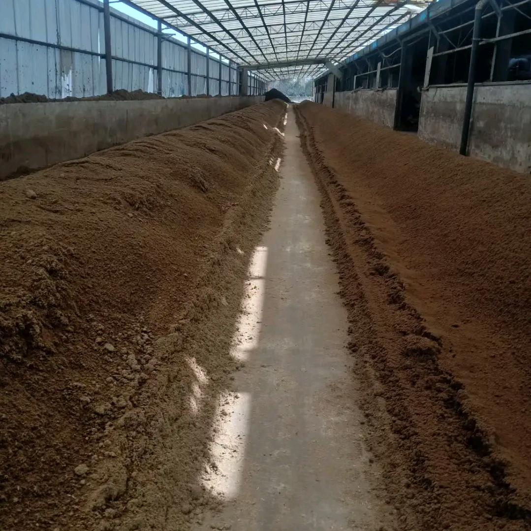 山东发酵鸡粪羊粪牛粪厂家