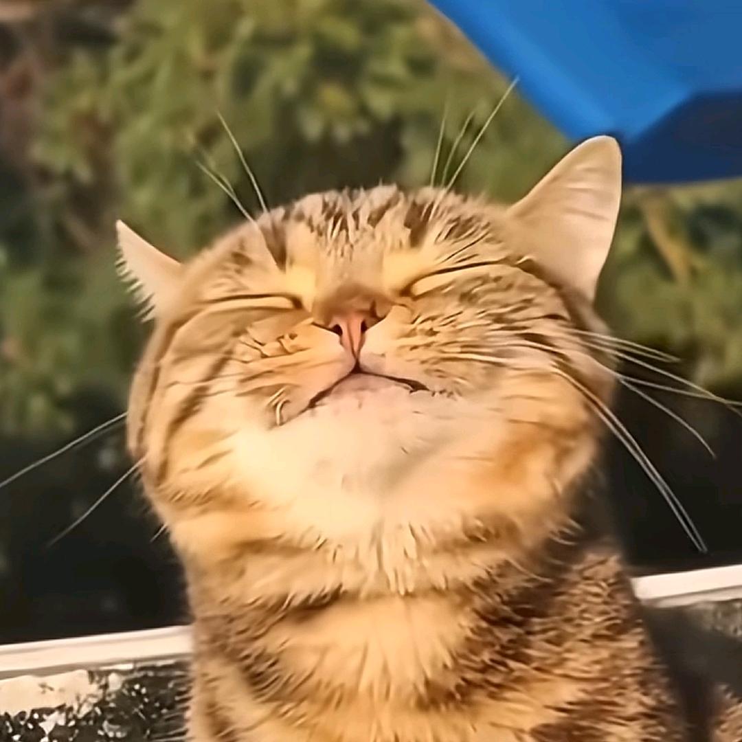 吐泡泡🫧
