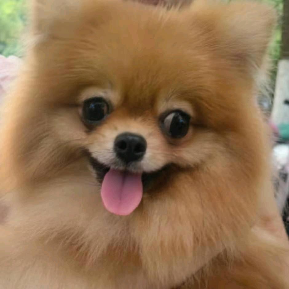 ～静～