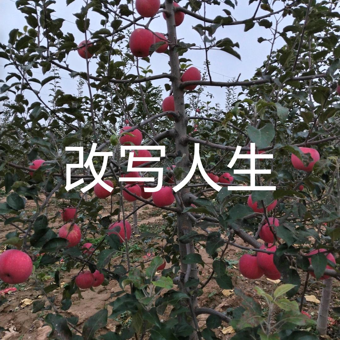 迷茫的旅途