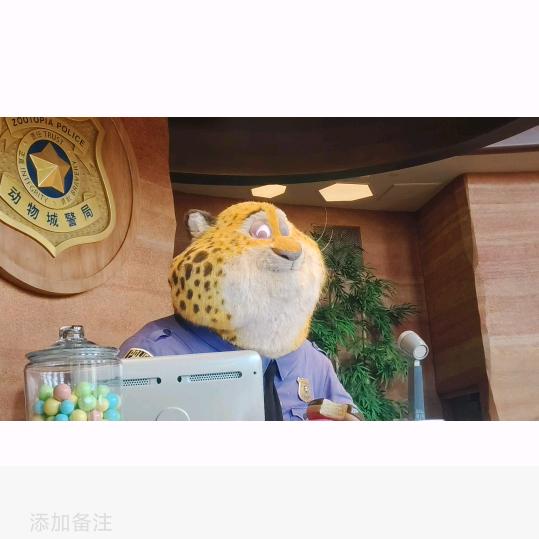 贝贝打不打