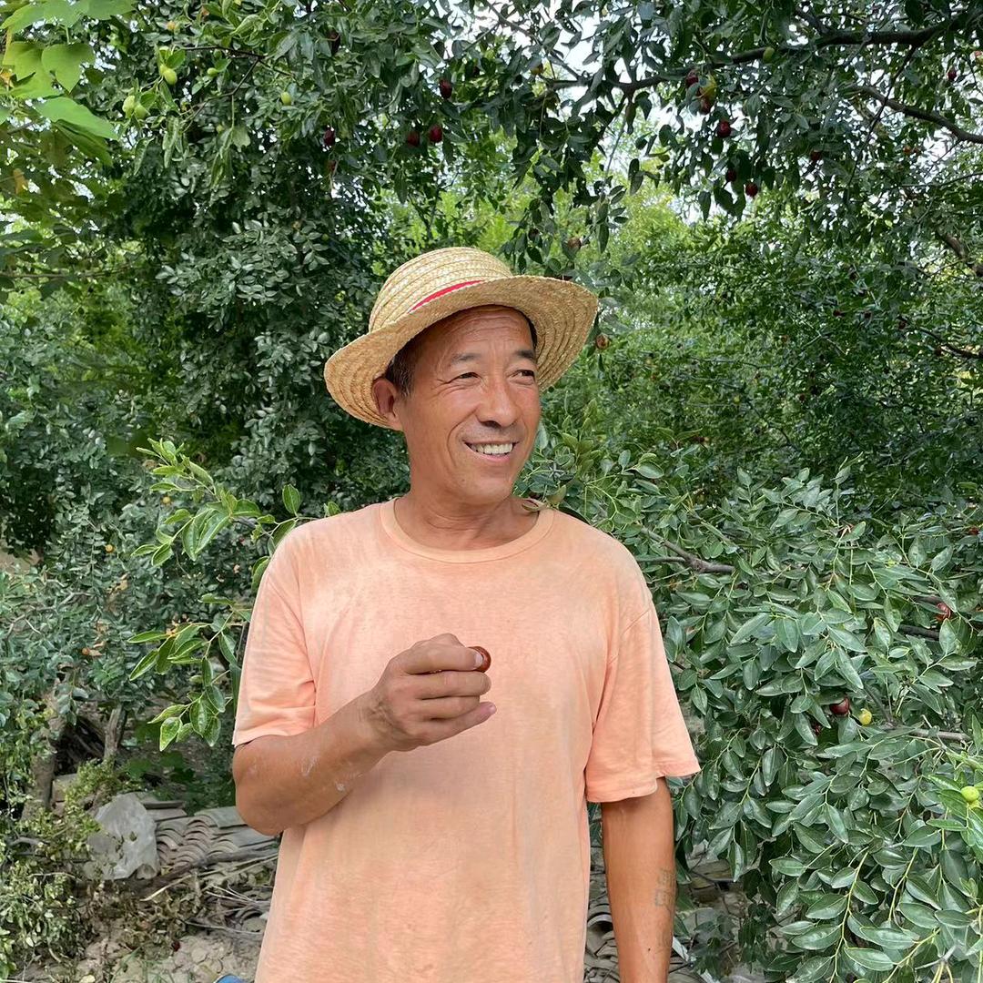老高家红枣
