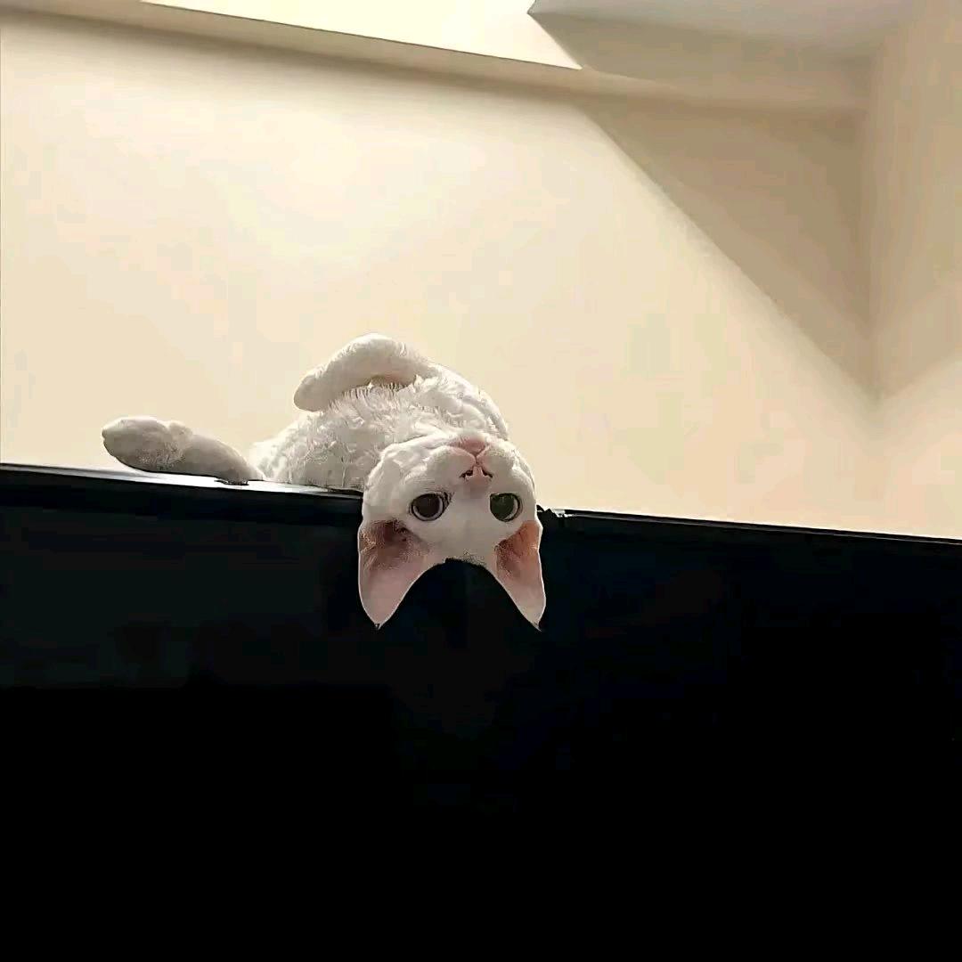 恩恩