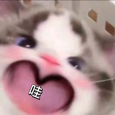 蜜瓜冰糕