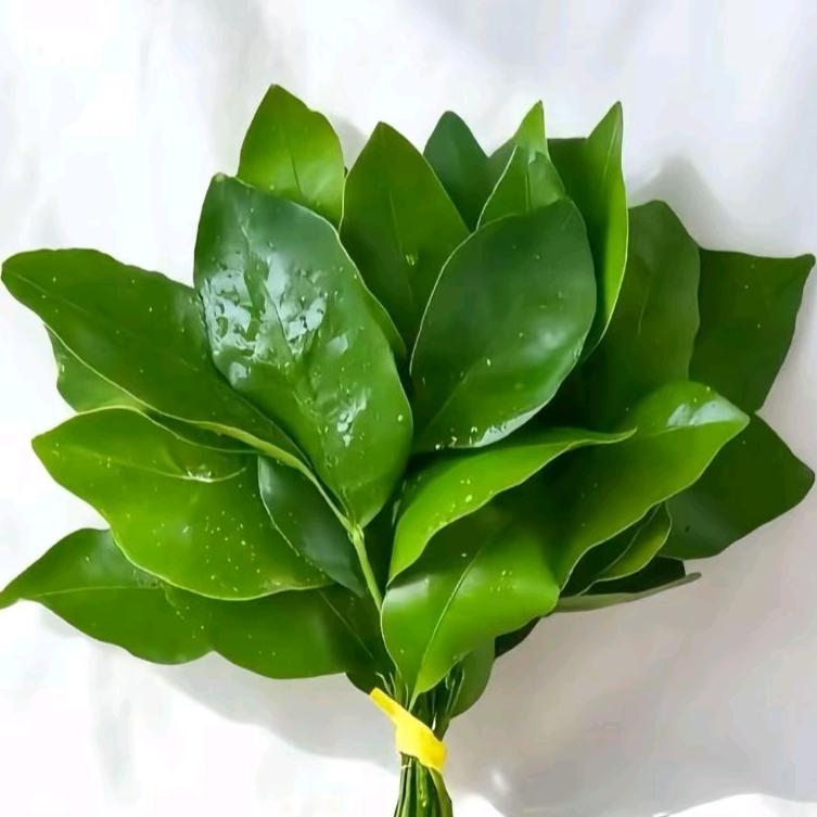小小 金^_^